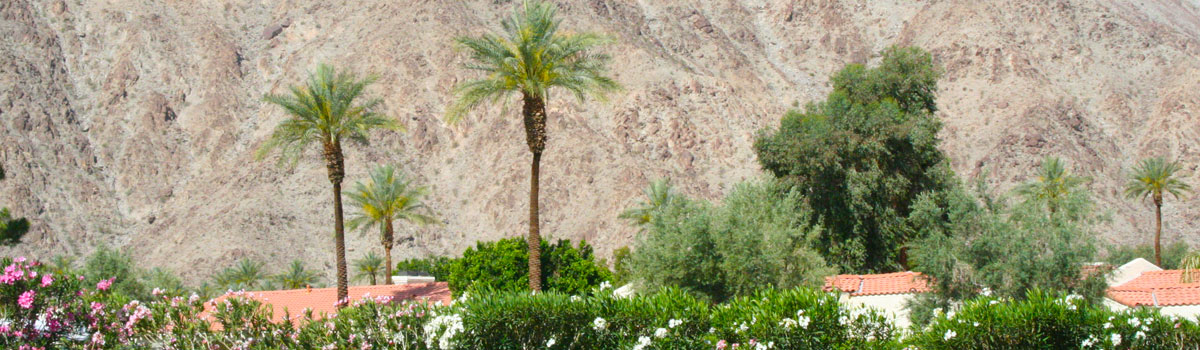 DesertSpec Home Inspection Service Coachella Valley